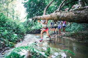 BIB: 
                            <button type="button" onclick="openModal(25444610)" class="btn btn-primary btn-sm float-right btn-popup" data-toggle="modal" data-target=".modal-high-quality">
                        <i class="fas fa-shopping-cart"></i> Add to Cart
                    </button>
                                            <button type="button" onclick="isThisMe(25444610, true)" class="btn btn-success btn-sm float-right btn-popup btn-isme hidden" data-toggle="tooltip" data-placement="bottom" title="นี่คือรูปของคุณใช่ไหม คลิกที่นี่เพื่อเอาเข้าอัลบั้ม">
                        <i class="fas fa-plus"></i> Add to album
                    </button>
                    <button type="button" onclick="isThisMe(25444610, false)" class="btn btn-warning btn-sm float-right btn-popup btn-isnotme hidden">
                        <i class="fas fa-ban"></i> Remove from album
                    </button>